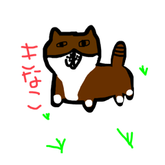 cat of kinako