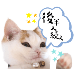 komugi._20240422212811
