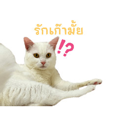 jim_20240423150609 – LINE stickers | LINE STORE