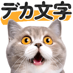 【デカ文字】猫写真のシンプルなスタンプ
