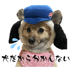eririn_20240423000424