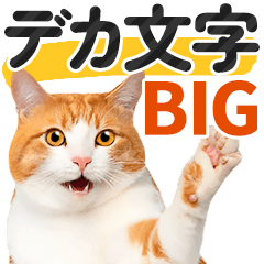 [Big letters] Cat photo Sticker.