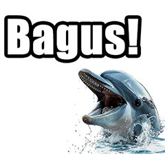Dolphin phrases in Indonesian