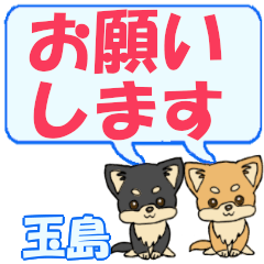 Tamashima's letters Chihuahua2
