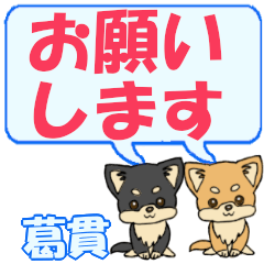 Kuzunuki's letters Chihuahua2