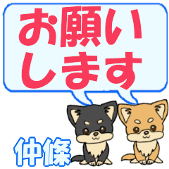 Nakajou's letters Chihuahua2