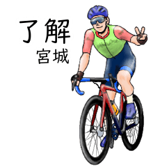 Miyagi's realistic bicycle