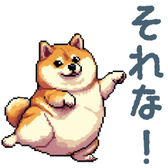fatty cute shiba dog greeting