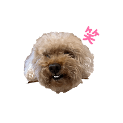 yuka_20240423135343