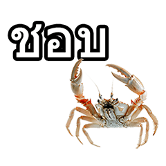 Crab phrases in Thai