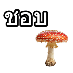 Poisonous mushroom phrases in Thai