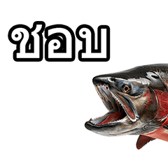 Salmon phrases in Thai