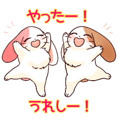 Twin rabbits Momo & Moka