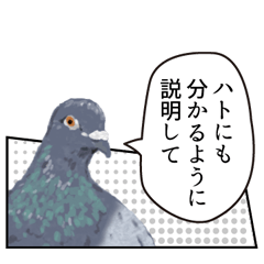 pigeon speech bubble cartoon