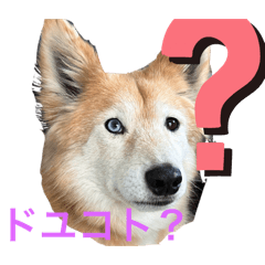 Seiman_20240423210523