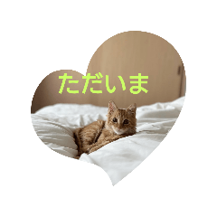 michiko_20240423205615