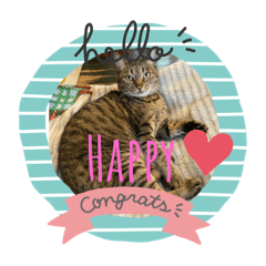 kagarin_20240423225610