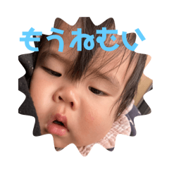 Tsubaki_20240423224540