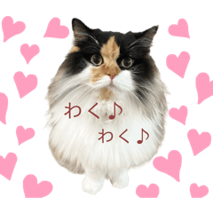 yuka_20240423224339