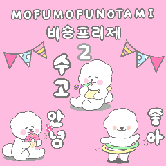 Mofunofunotami Korean Bichonfrise 2
