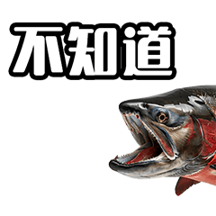 Salmon phrases in Chinese (Taiwan)