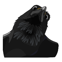 crow illustration stamp