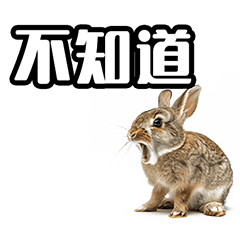 Rabbit phrases in Chinese (Taiwan)