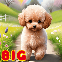 cute toy poodle watercolor big sticker