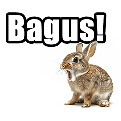 Rabbit phrases in Indonesian