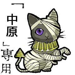Mummycat Name nakahara Animation