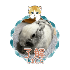 yokko_20240424131420
