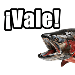 Salmon phrases in Spanish