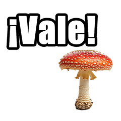 Poisonous mushroom phrases in Spanish