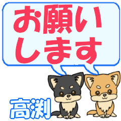 Takabuchi's letters Chihuahua2