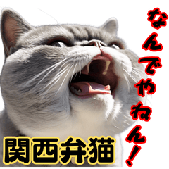 A cat speaking in Kansai dialect.