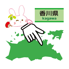 Rabbit Kagawa prefecture
