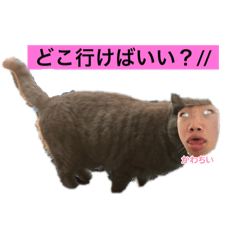 Sinsora_20240423185011