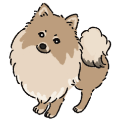 Pomeranian Masamune's daily life Sticker