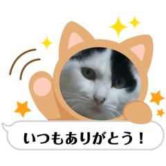 Junko_20240424220004