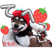 K.KENTA_20240425094814