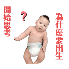 卡馬帶卡馬拉帶