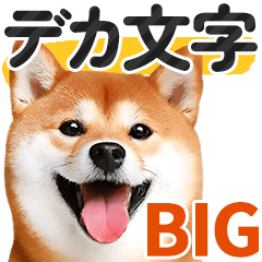 【デカ文字BIG】柴犬・写真の敬語スタンプ