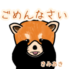 Kimiaki's lesser panda