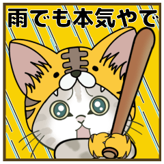 Kitten flying sticker 39