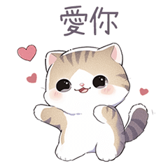 Little Cat - Hua Hua (Accept Cat's Love)