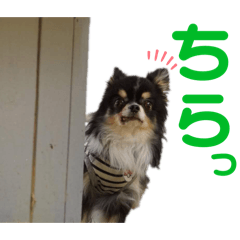 NiaNia_20240425134400