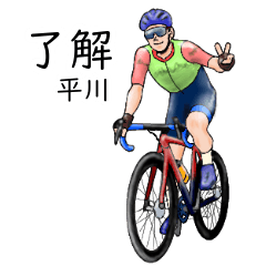 Hirakawa's realistic bicycle