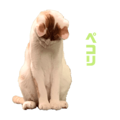 boooooo_20240425192750