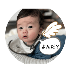 Shio6_20240426223215