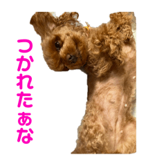 Followers of Moco_20240426221046